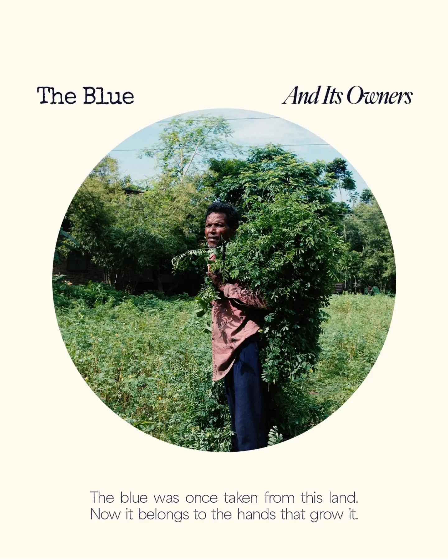 “The Blue and Its Owners”: an indigo farmer in the field