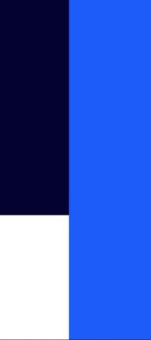 Brand colour blocks: navy, electric blue and white